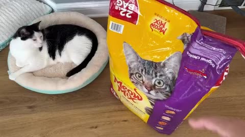 Meow Mix Original Choice Dry Cat Food