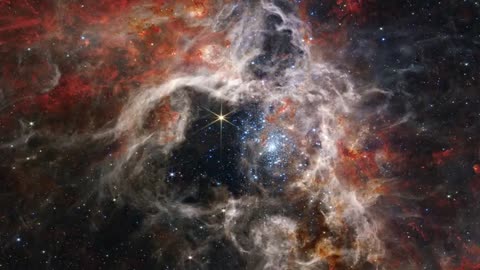 Newly Discovery of 💫 Star Tarantula Nebula by a New Nasa Telescope James webb