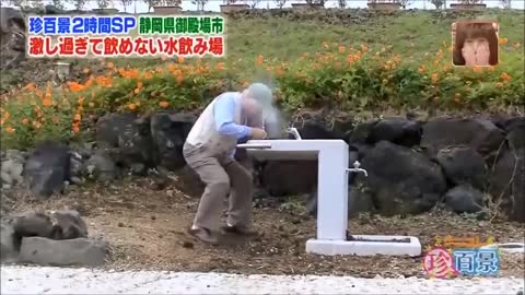 Japanese funny video pranks #2