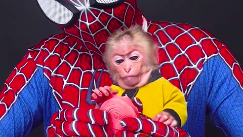 Baby monkey Eat Candy