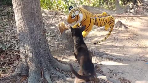 Wow!! Fake Tiger Prank Super Dog So Funny Try To Stop Laugh Challenge