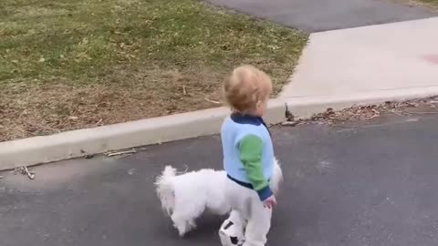 Crazy Little boy and Doggy.