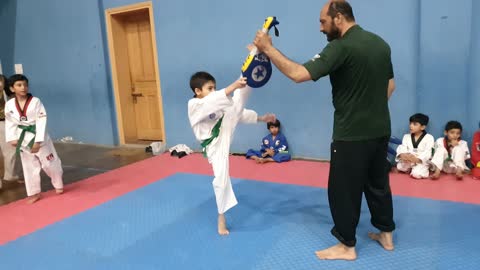 Taekwondo Training Session