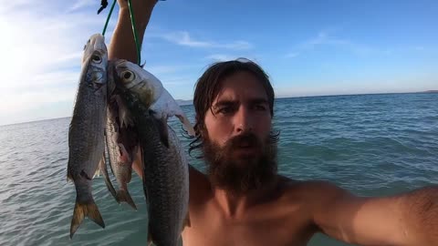 Spearfishing Mexico Baja California | Catch Cook Clean | Fishing Mullet & Snapper from Paddle board
