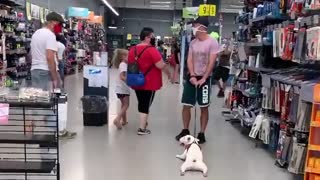 Doggy Thinks Shopping Is A Drag