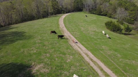 Ozarks in April: DJI Drone Footage of the Ozark Hills