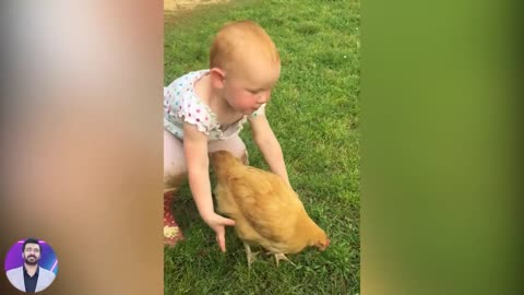 Funny Baby Reaction When Play with Chicken Compilation