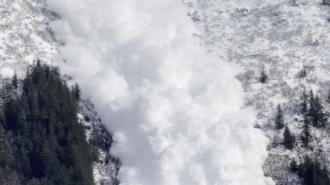 Absolutely beautiful demonstration of avalanche control