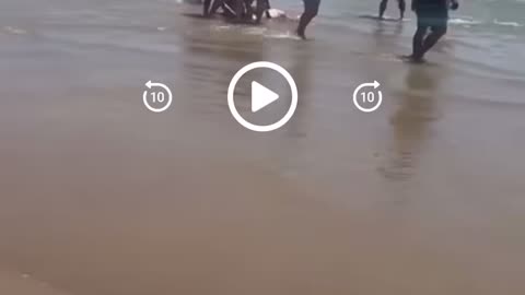 Shark Attack in South Padre Island, Tx