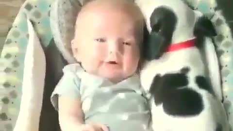 Dogs are good friends of babies