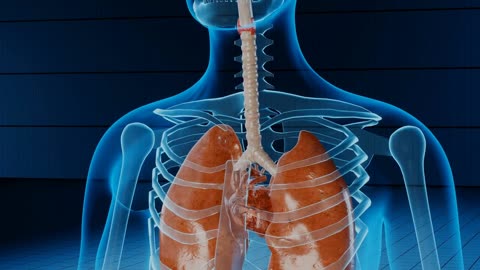 Breath-Taking Revelations 10 Astounding Facts About Your Lungs