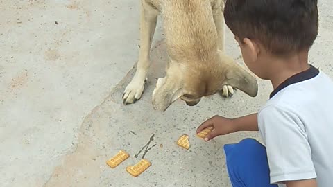 Boy and dog