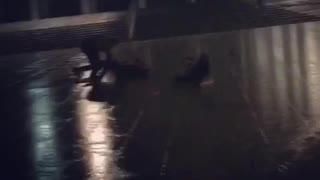 Guys running in rain slip and fall down