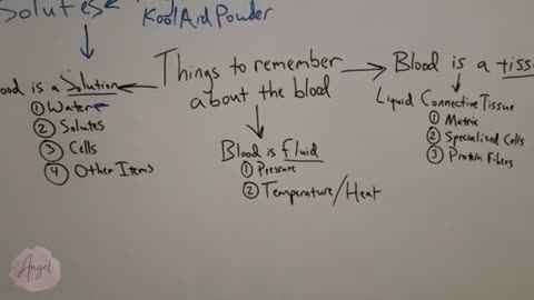 Anatomy and Physiology_ 3 Things To Know About The Blood