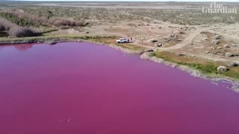 Pollution turns Argentina lake pink