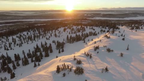 the snow in nature