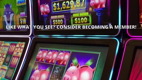PICKIN' PIGS!!! #slots #casino #slotmachine #slotwin #jackpot #bonusfeature #casinogame #gambling