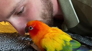 Parrot having a conversation with his dad