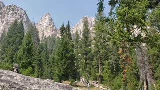 Yellowstone National Prk