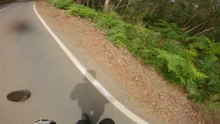 Motorbike Rider Rescues Echidna From Road
