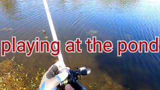 Bass fishing at the pond