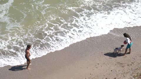 Summer Beach Sea Play fotbal with dog