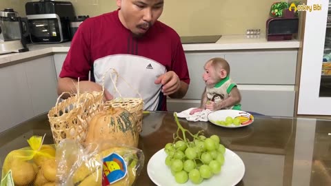 So cute! Monkey BiBi begging dad to go to the supermarket