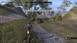 ESO | Aldmeri Dominion | Moon-Sugar Medicament | Khenarthi's Roost | Part 3