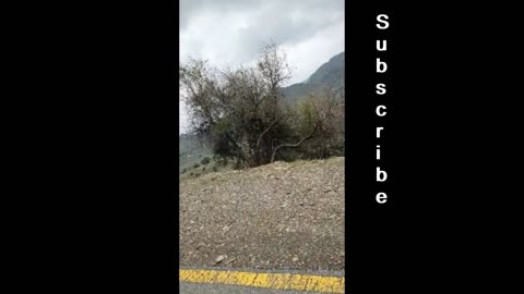 we see the mountains and shocked | MuqeetVines Videos