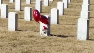 Jefferson Barracks National Cemetery Valentine