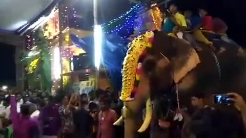 Elephant attack in Kerala-Palakkad Tattamangalam2017 [SiGator]