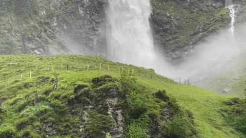 Amazing water fall 🌍😍