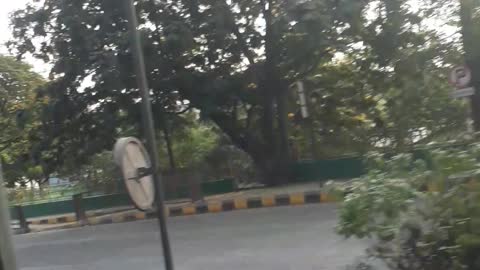 Traffic police on road