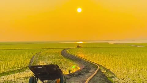 Sunset With Beautiful Bangladesh