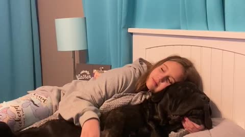 Cane Corso getting some snuggling time