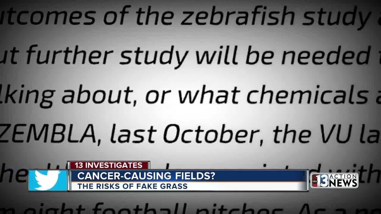 13 Investigates: Is there a real risk in artificial turf fields?