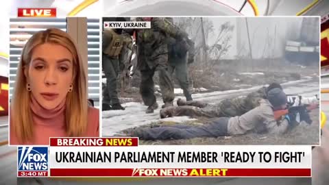 Ukrainian parliamentarian Kira Rudik: "We fight for Ukraine and for the New World Order."
