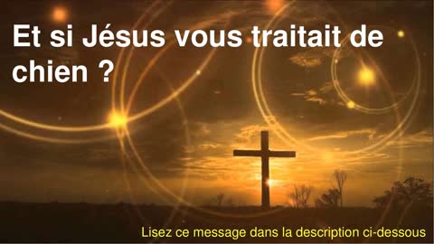 Et si Jésus vous traitait de chien ?