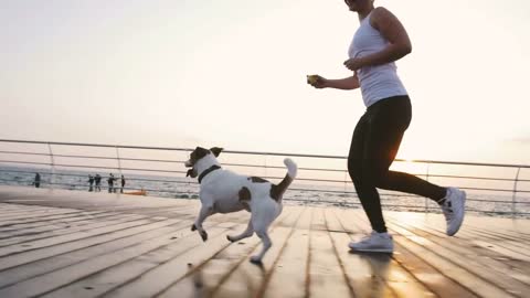 Young woman running with cute dog Jack Russel near the sea