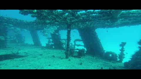 Wreck Diving Sunken Ship Wreck (Beautiful view).