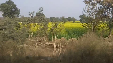 Indian Express Train Running at 130 KM/hr