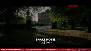 SNAKE HOTEL (REVIEW) A No-Budget British Snake Film That Will Have You Laughing and Crying!