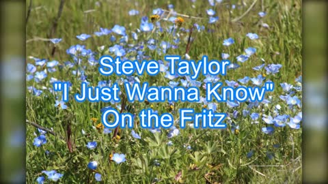 Steve Taylor - I Just Wanna Know #413