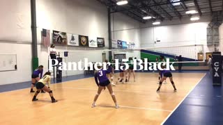 Panther VBC 15 Black Celebration