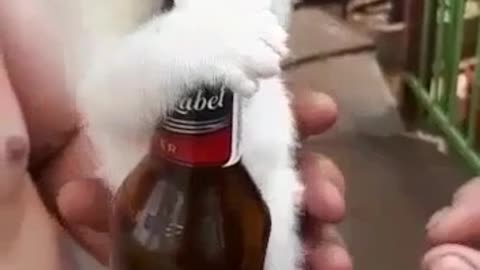 dont take my beer