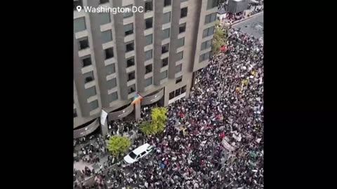 Pro Palestine Protests in DC Today - Trying to Tear down the DC Gates