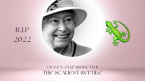Queen Lizard 🦎 R.I.P 2022