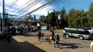 Horse Parade Adivay 2017