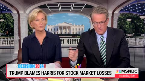 'Morning Joe' Panel Says Market, Border Crossings Have Improved Since Biden-Harris Admin Took Office