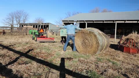 Lesa moving hay for Doc and Skip...plan B method